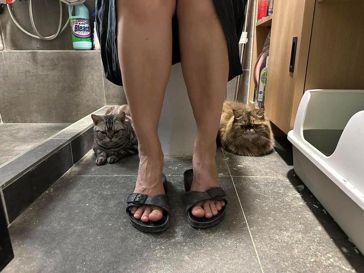 Lúc nào tôi cũng có vệ sĩ xung quanh mình.