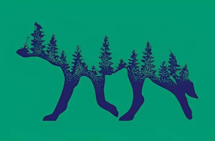 Quiz: Điều gì khiến bạn trở nên khác biệt? - Ảnh 1.