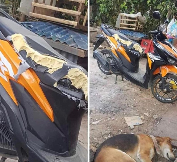 Em nằm ngủ thôi, không biết gì đâu nhé