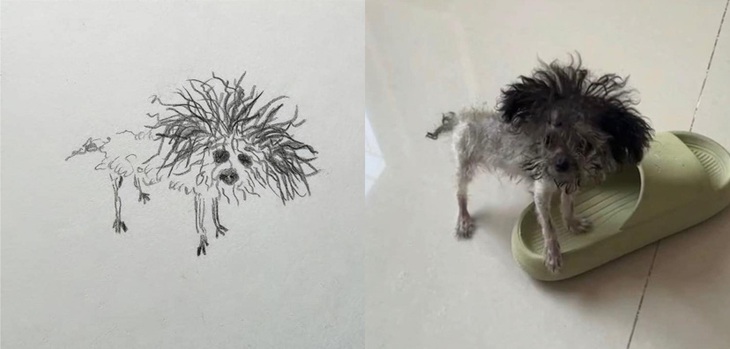 Con trai tôi vẽ chú chó ở nhà