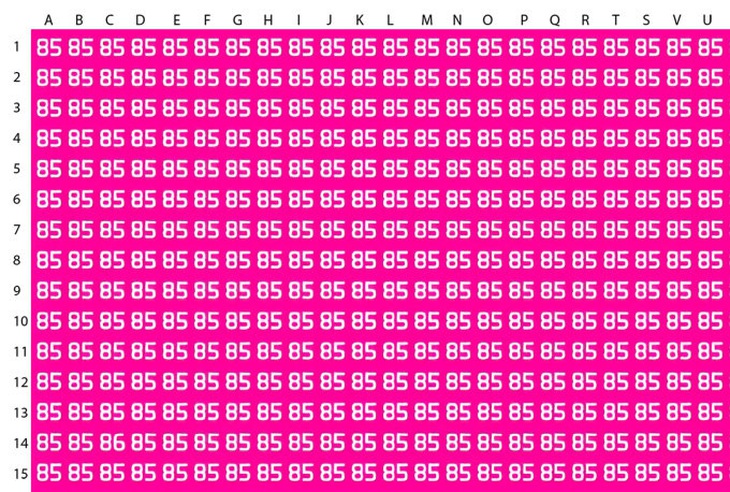 Mắt 10/10 mới thấy con sói trong khu rừng tuyết - Ảnh 3.