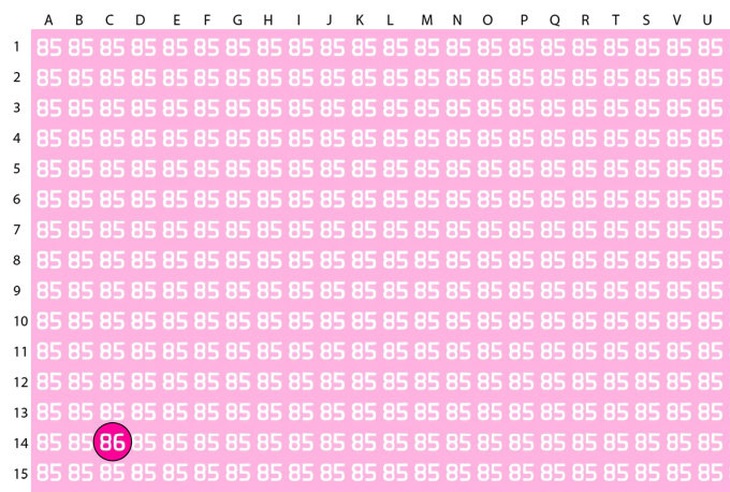 Mắt 10/10 mới thấy con sói trong khu rừng tuyết - Ảnh 1.