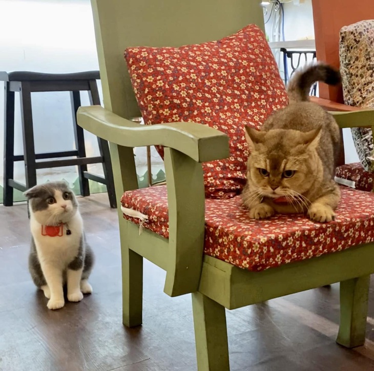 Này, em giận anh à?