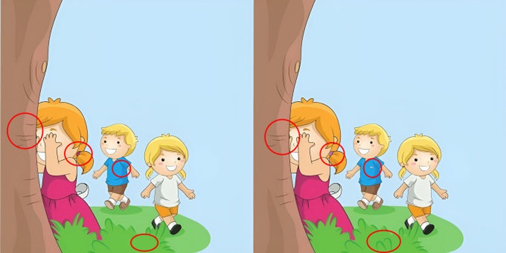 Chỉ thiên tài mới thấy con mèo ẩn nấp ở đâu trong 5 giây - Ảnh 1.