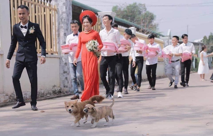 "Cận cảnh" đoàn rước dâu nhà người ta