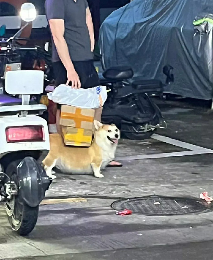 Chân em tuy ngắn nhưng được việc à nghen