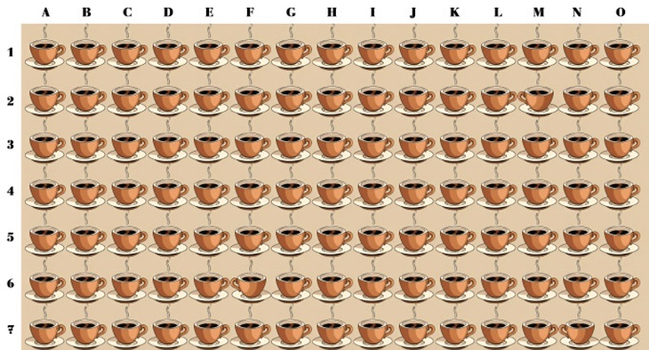 Thử tài tinh mắt: Con báo hoa mai ẩn nấp ở đâu? - Ảnh 4.