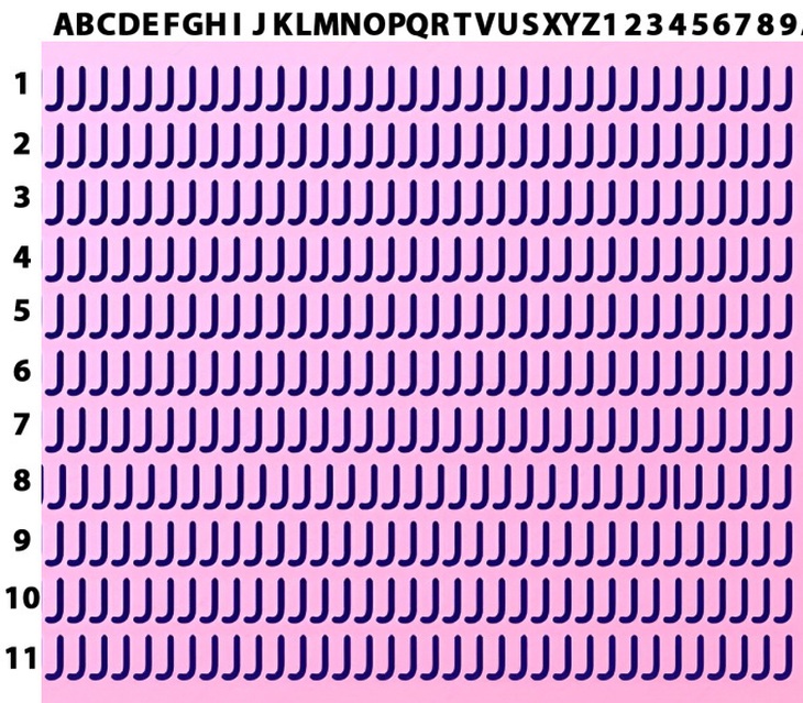 Thử tài tinh mắt: Tìm chủ nhân con ngựa trong hình - Ảnh 7.