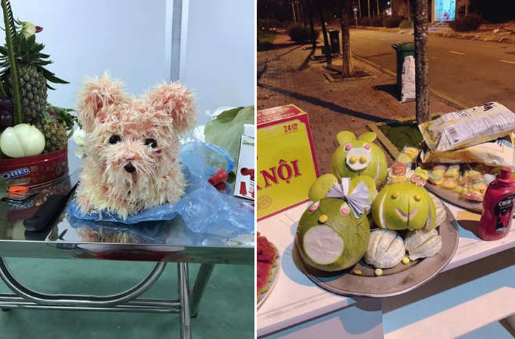 Một bên lông nhiều không thể "thở nổi", một bên không biết là chuột hay cún?!