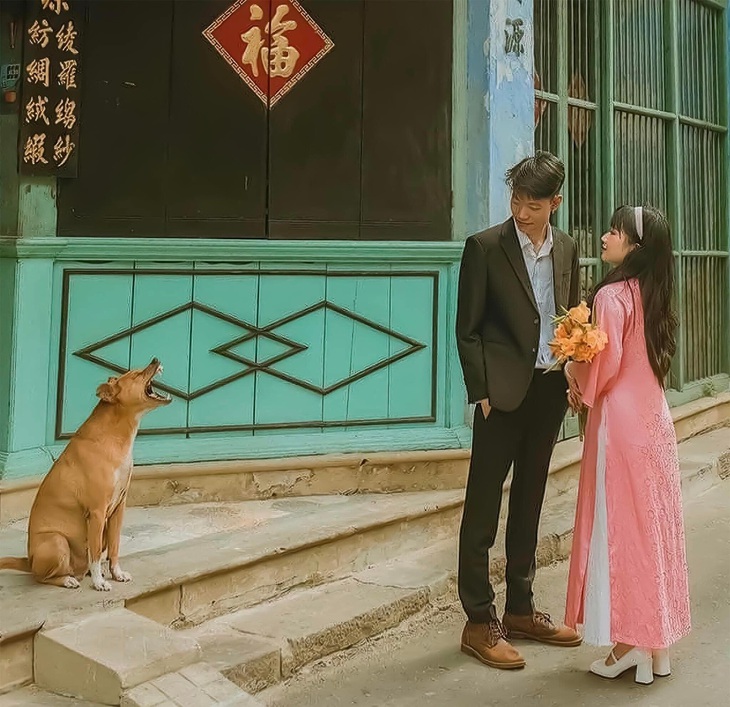 Chú chó kiểu: "Đi chỗ khác chụp ảnh. Nhanh!".