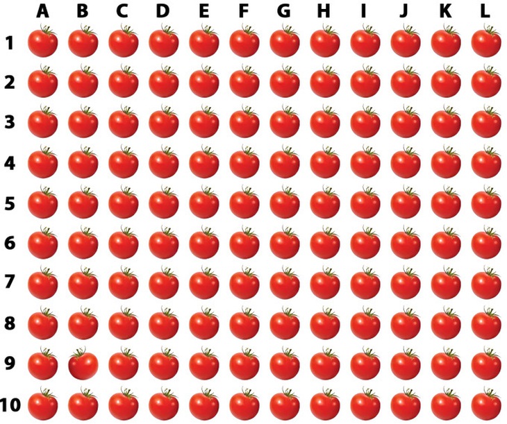 Mắt 10/10 mới phát hiện con chó đang trốn ở đâu? - Ảnh 4.