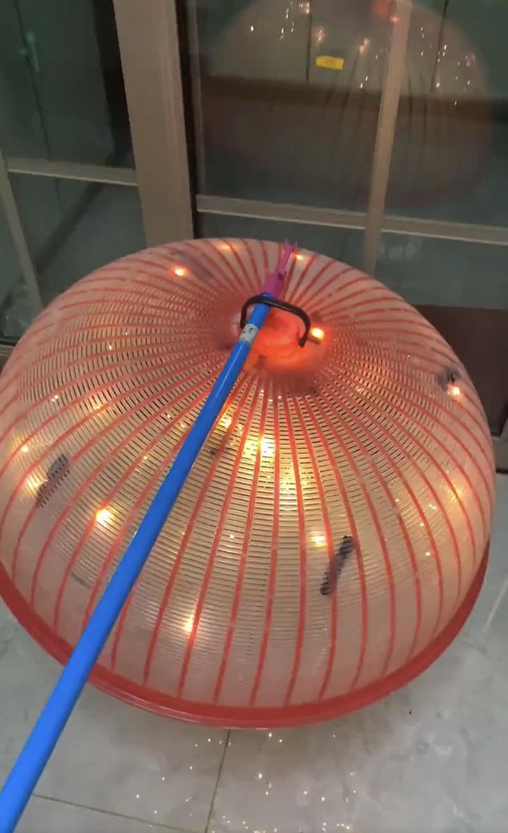 ... hay một chiếc lồng bàn bằng nhựa, với những dây đèn led lấp lánh