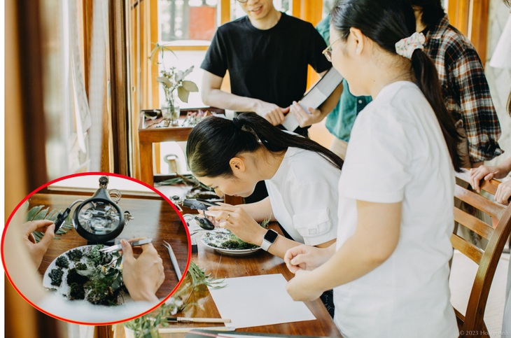 Ngọc Hân được họa sĩ Phan Thị Thanh Nhã chia sẻ các kiến thức về thảm thực vật