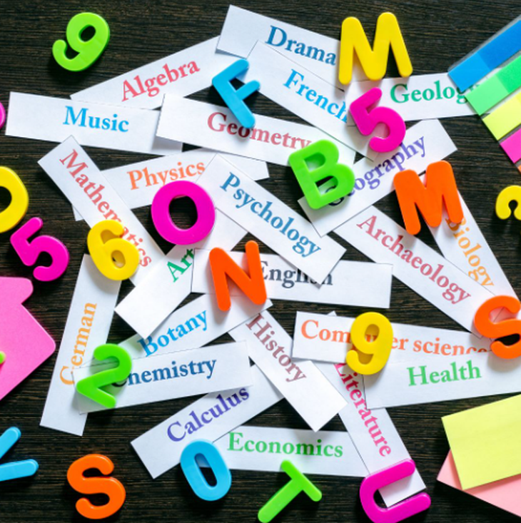 Tích hợp là chuyện của học sinh - Ảnh 2.