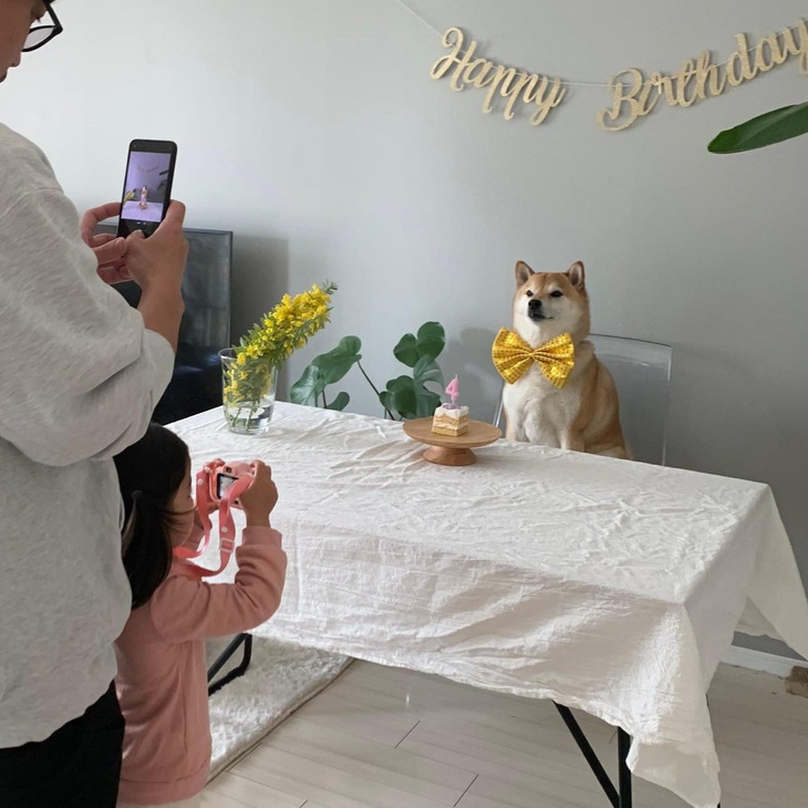 Quá trời quá đất.