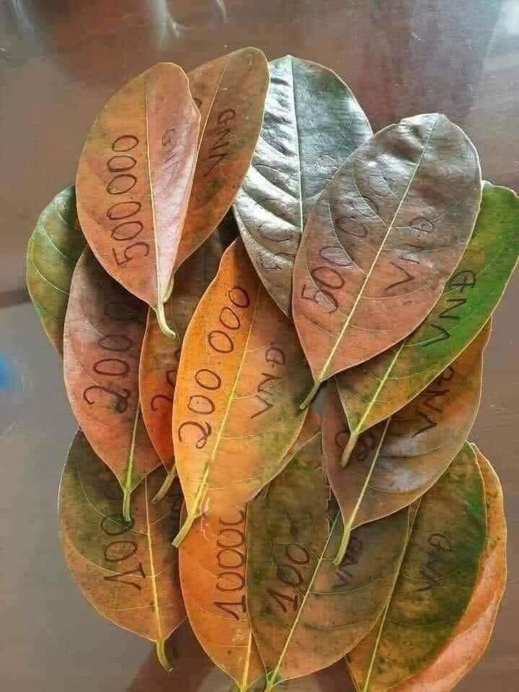 Chỉ biết ước.