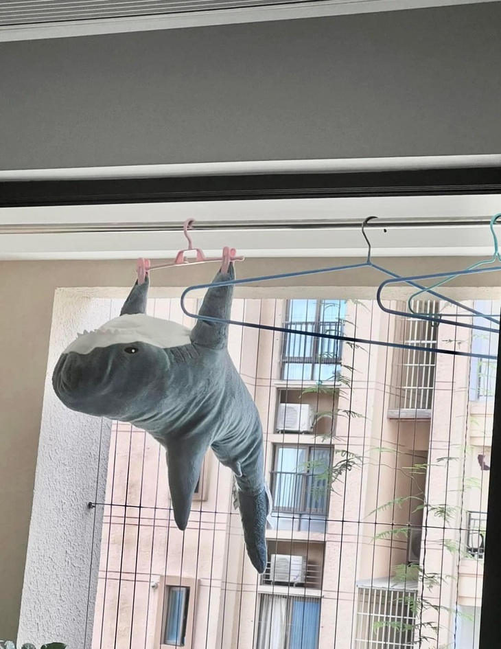 Em khô rồi, cho em xuống đi.