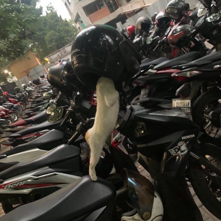 Chuẩn bị chưa mấy anh em?