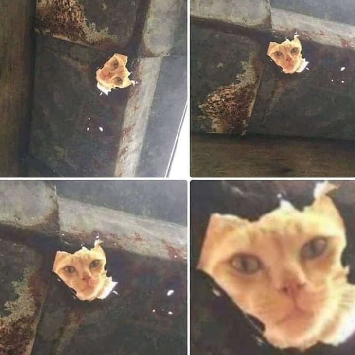 Hèn gì lúc nào cũng có cảm giác bị nhìn trộm. 