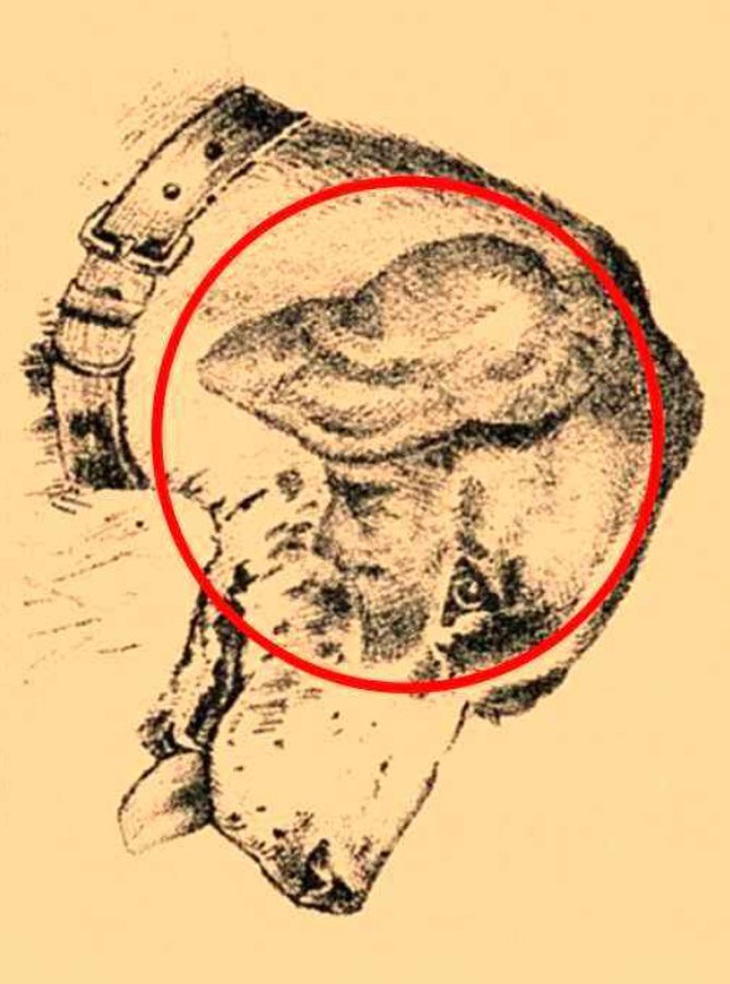 Mắt 10/10 mới thấy khuôn mặt người đàn ông ẩn giấu ở đâu?- Ảnh 2.