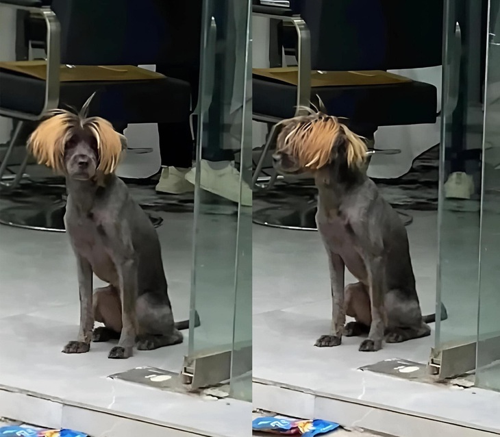 Mọi người thấy em có "cháy" không?