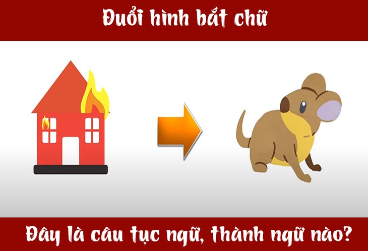 IQ cao có đoán được đây là câu tục ngữ, thành ngữ gì? (P34)- Ảnh 3.