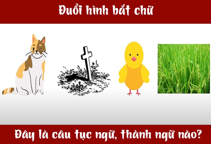 IQ cao có đoán được đây là câu tục ngữ, thành ngữ gì? (P32)- Ảnh 1.