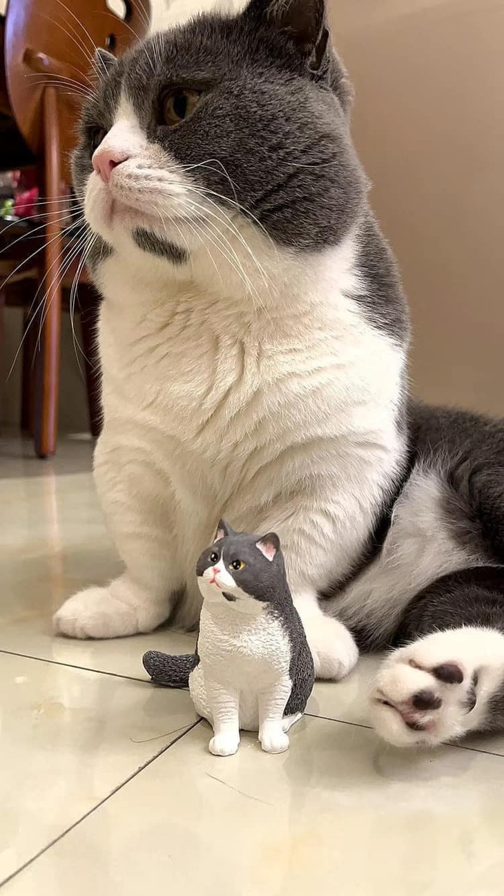 Giống đến cả cái "mụn ruồi". 