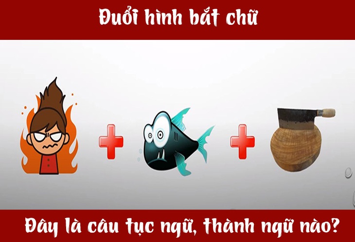 IQ cao có đoán được đây là câu tục ngữ, thành ngữ gì? (P36)- Ảnh 3.