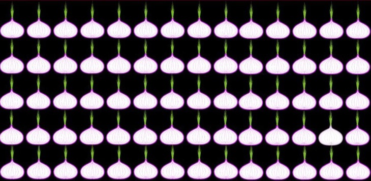 Thiên tài mới tìm được 6 điểm khác biệt trong 10 giây- Ảnh 5.