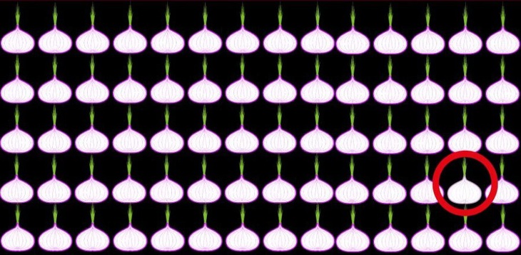 Thiên tài mới tìm được 6 điểm khác biệt trong 10 giây- Ảnh 6.