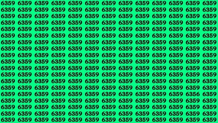 Thiên tài mới tìm được 6 điểm khác biệt trong 10 giây- Ảnh 3.