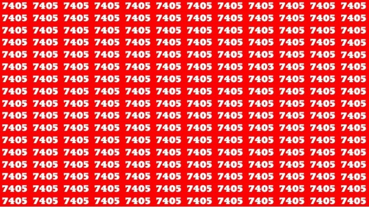 Thiên tài mới tìm thấy khuôn mặt cô gái trong rừng- Ảnh 3.