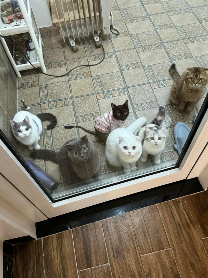 Mỗi sáng của tôi kiểu... nghèo, nghèo, nghèo.