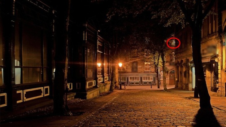 Mắt 10/10 mới thấy con mèo ẩn nấp ở đâu- Ảnh 2.