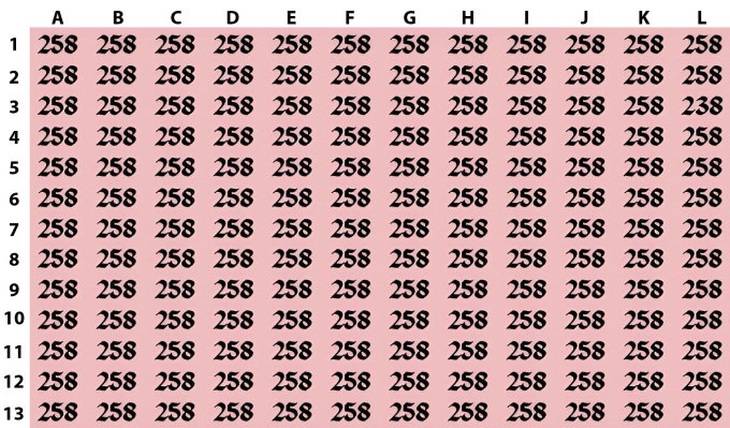 Mắt 10/10 mới thấy con mèo ẩn nấp ở đâu- Ảnh 3.