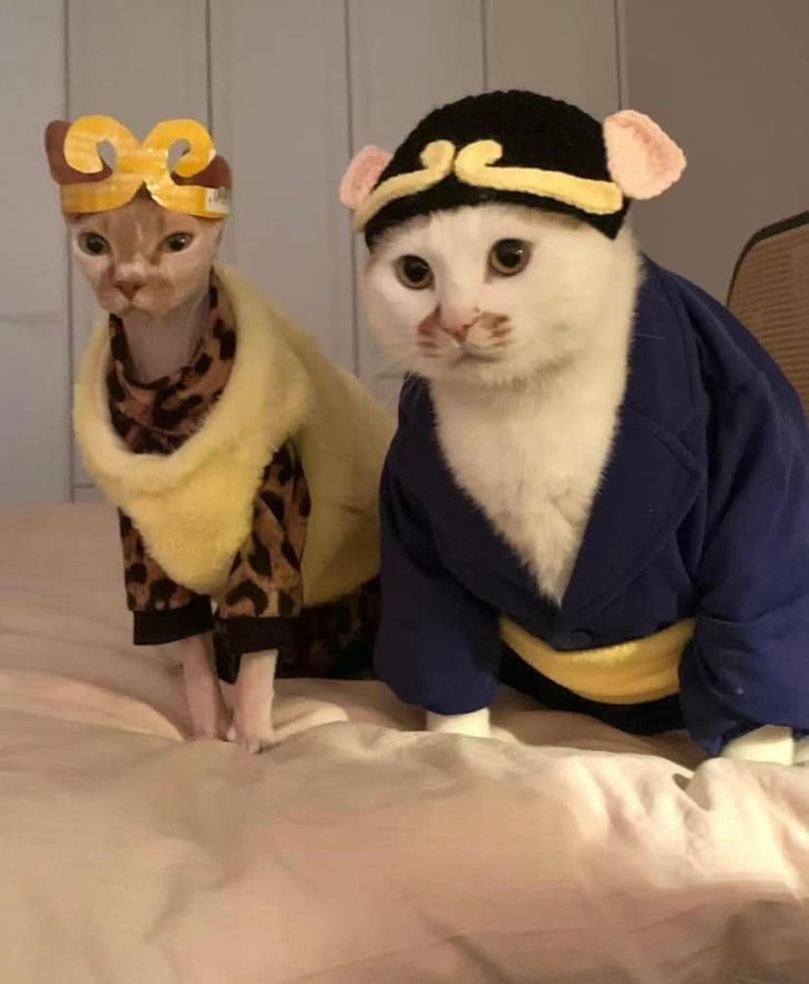 Sư phụ, cho con đi chung với.