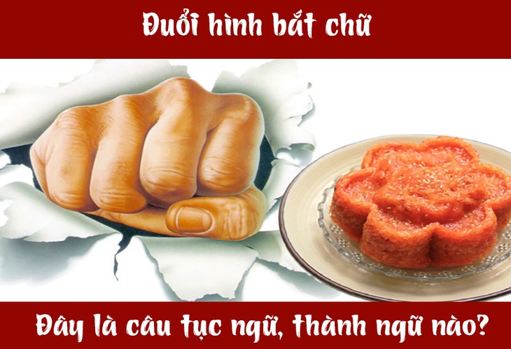 Câu tục ngữ, thành ngữ 'khó nhằn' này là gì? (P41)- Ảnh 1.