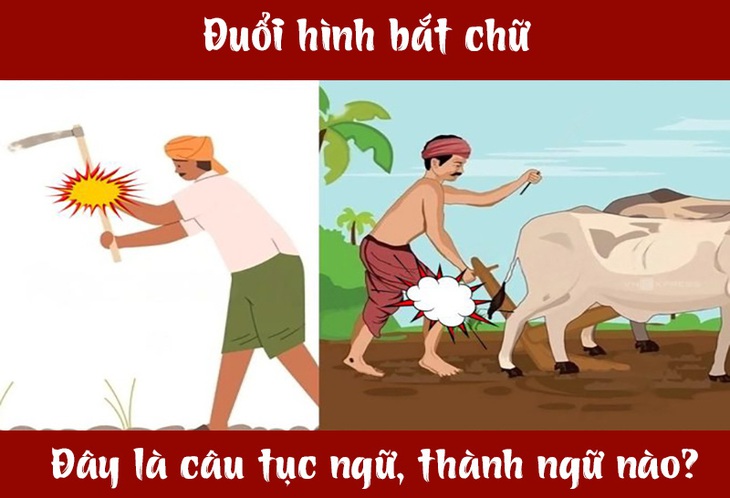 Câu tục ngữ, thành ngữ 'khó nhằn' này là gì? (P43)- Ảnh 1.