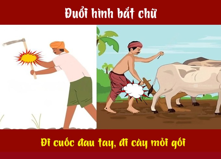 Câu tục ngữ, thành ngữ 'khó nhằn' này là gì? (P43)- Ảnh 2.