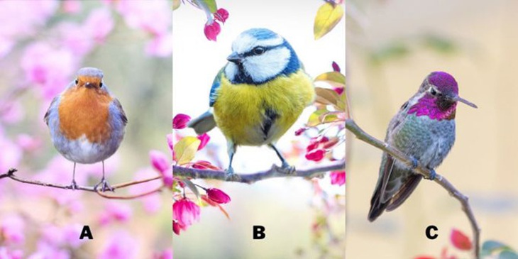 Quiz: Điều gì khiến bạn trở nên thú vị trong năm 2024?- Ảnh 1.