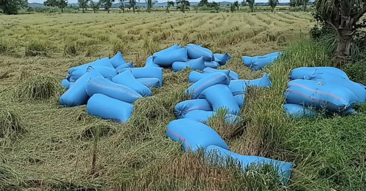 Nàng hậu Ê Đê khoe thành quả vụ mùa bội thu