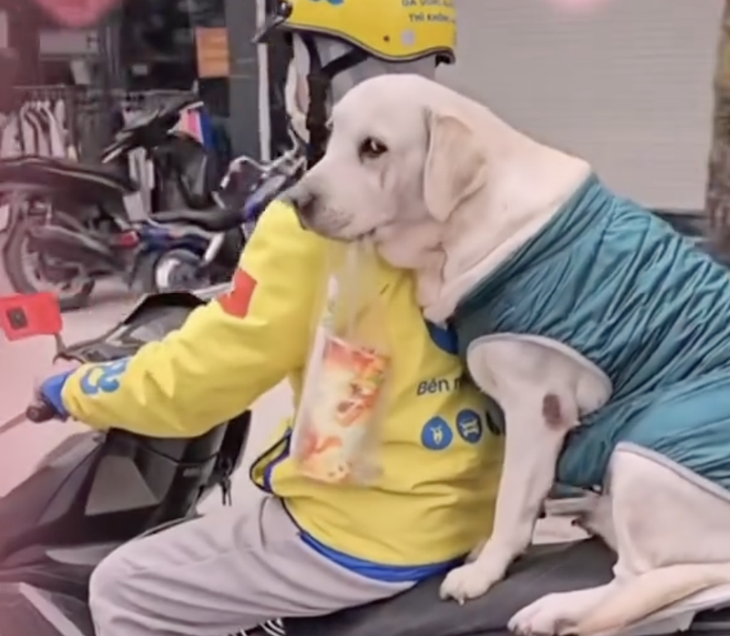 Đi mua trà sữa dỗ bạn gái đang giận. 