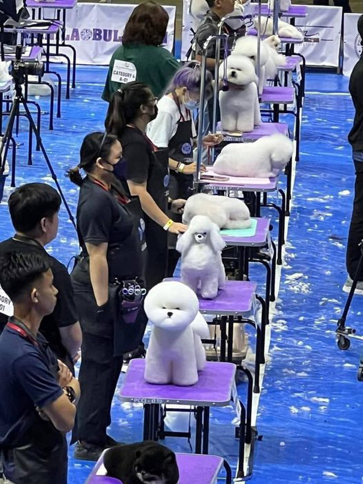 Nhìn có tức không chứ?! 