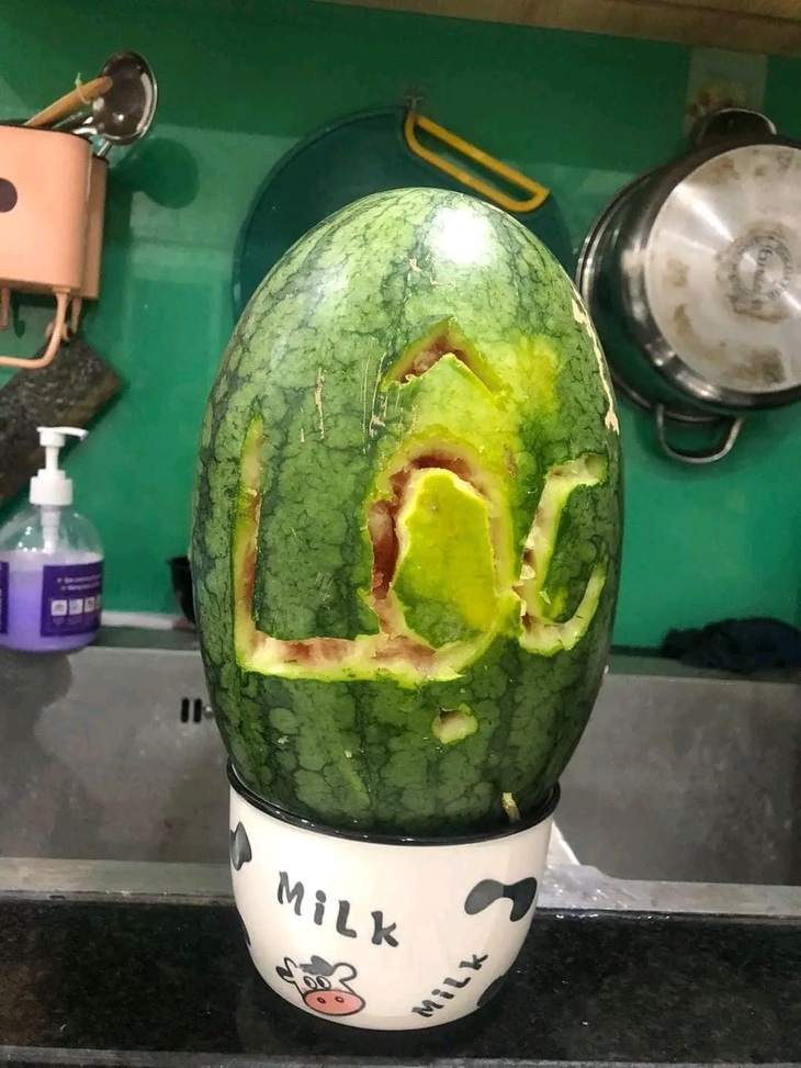 Bỏ luôn ý định "hành nghề".