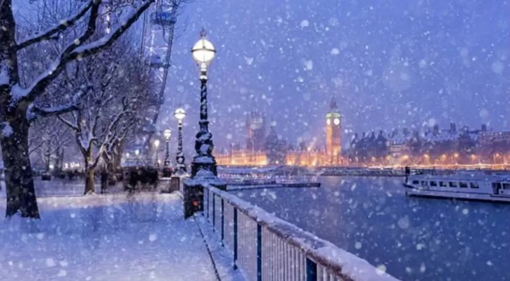 Mắt cú vọ có thấy con nai lẩn trốn ở đâu?- Ảnh 1.