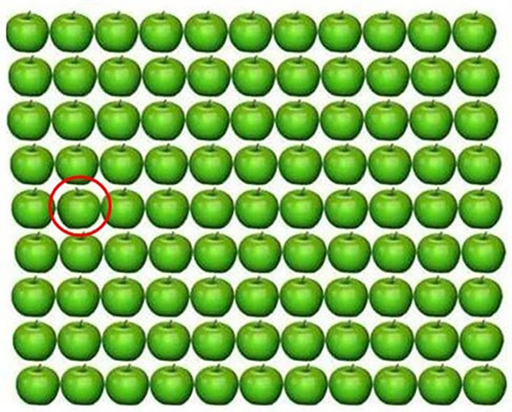 Mắt cú vọ có thấy con nai lẩn trốn ở đâu?- Ảnh 4.