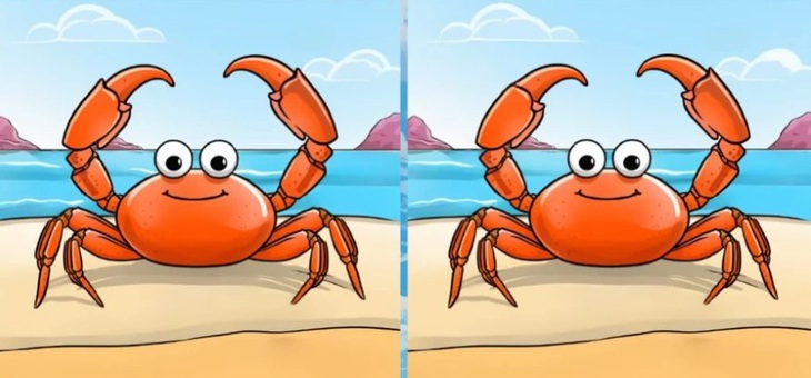 Thử tài tinh mắt: Con báo đang ẩn náu ở đâu giữa bầy ngỗng?- Ảnh 5.