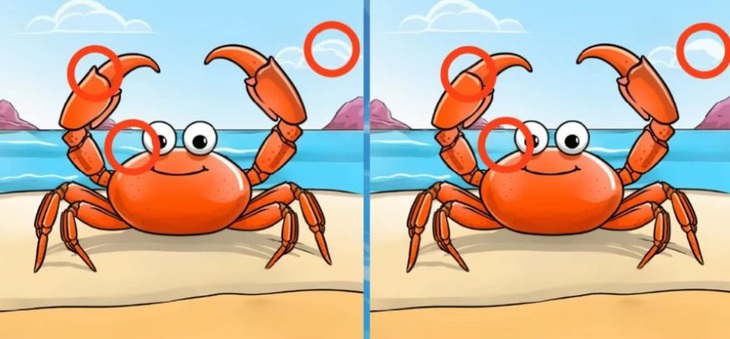 Thử tài tinh mắt: Con báo đang ẩn náu ở đâu giữa bầy ngỗng?- Ảnh 6.