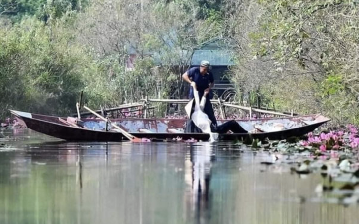 Ông lão đánh cá và... con cá vàng?! 